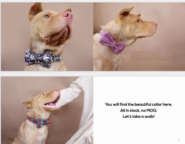Premium luxury Metal Buckle Dog Collar, Durable Adjustable Dog Collar Soft for Small Medium Large Dogs UDC series  - 副本
