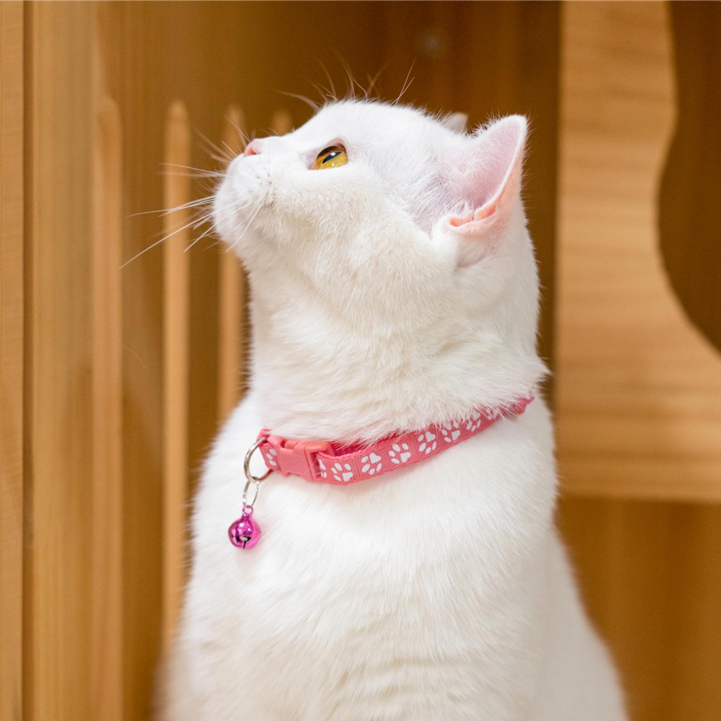 Paw print cat collar with ring bell 